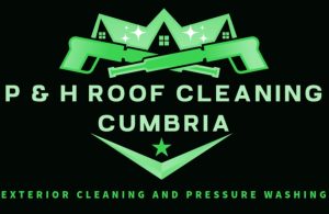 roof logo